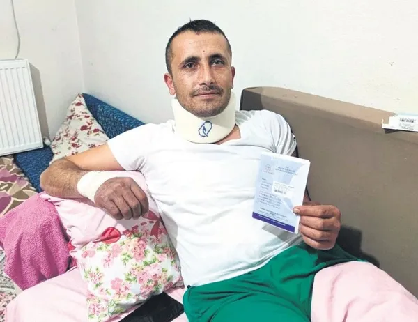 Biraz panik yaptım ama korkmadım! Bursa'da ormanda ayı 6 dakika boyunca hayat savaşı verdi-1