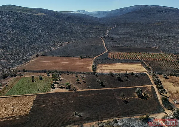 Çeşme yangınında zarar gören alanlar görüntülendi: Her şeyimiz yandı - 18