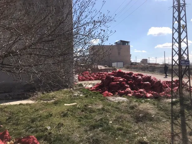 Ankara’nın Altındağ ilçesinde yol kenarına atılmış yüzlerce çuval soğan bulundu-3