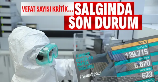 Son dakika: Sağlık Bakanlığı 7 Şubat koronavirüs vaka sayılarını açıkladı | Kovid-19 tablosu