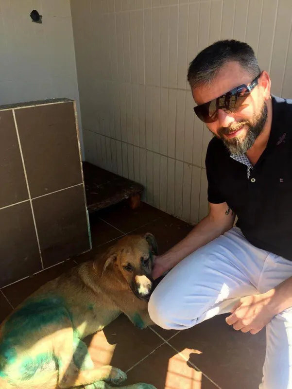 Sakarya'da vahşet! Köpeğe işkence yapıp, vücuduna kesici alet ile 'it' yazdılar-2