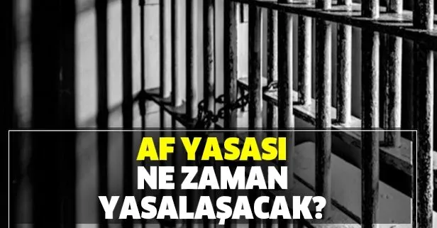 Af yasası ne zaman yasalaşacak?