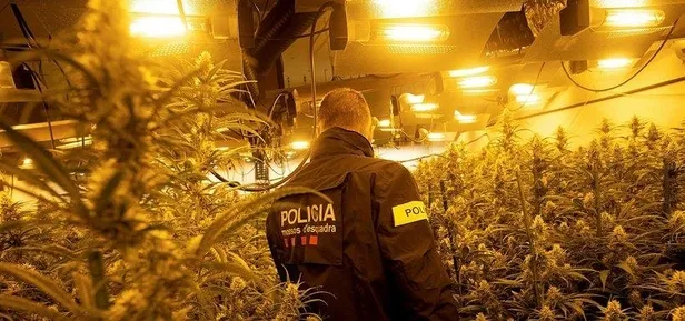 ispanyada-uyusturucu-kacakcilarina-dev-operayon-2-ton-esrar-ele-gecirildi-1606592589921.jpeg İspanya’da uyuşturucu kaçakçılarına dev operayon: 2 ton esrar ele geçirildi-1