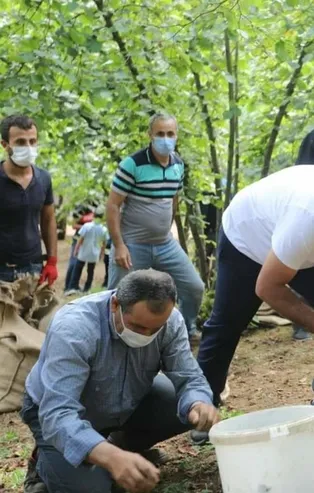 'Kürt işçilere saldırı' yalanı bir kez daha patladı! Sakarya Valisi Çetin Oktay Kaldırım fındık işçileri ile el ele...