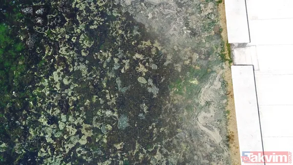 Marmara Denizi'ne müsilaj geri mi dönüyor? İstanbul'da Tuzla Kadıköy ve İzmit ile Yalova'da korkutan görüntü - 11