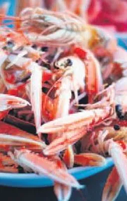 Bizde 15 İsveç’te 110 TL