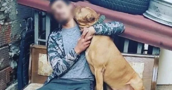 İstanbul Pendik’te denize giren genç Pitbull dehşeti yaşamıştı! Mahkemeden çok tartışılacak karar! Pitbull değil Oğuzhan kusurlu