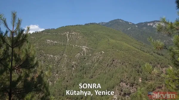 CHP ve yandaşı medyanın yangınlar üzerinden kirli algı oyunu çöktü: 'Otel yapacaklar' dedikleri alanlar tek tek yeşillendirildi - 24