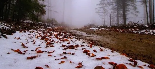 Kazdağları’nın yüksek kesimleri beyaza büründü