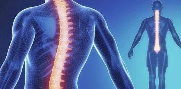 turkiyede-ilk-topkapi-koc-universitesi-hastanesinde-pediatrik-hastalarda-skolyoz-tedavisi-icin-iple-gerdirme-t-1651603594565.jpeg Türkiye'de ilk: Topkapı Koç Üniversitesi Hastanesi'nde pediatrik hastalarda skolyoz tedavisi için İple Gerdirme Tekniği Kadavra Kursu-3