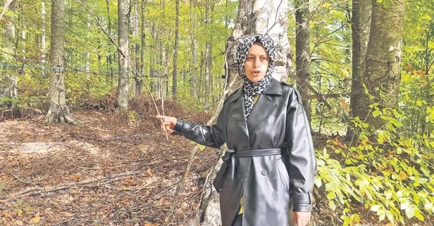 Kütahya'da bahçesini yavru ayı talan etti