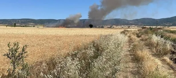 Yozgat’ta 20 dönüm ekili alan kül oldu