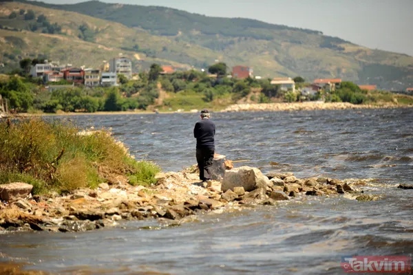 Balıkesir Bandırma sahillerinde müsilaj (deniz salyası) sonrası kirlilik nedeniyle deniz ve kum simsiyah oldu - 14