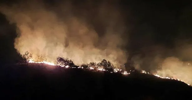 Hatay'daki orman yangını kontrol altında