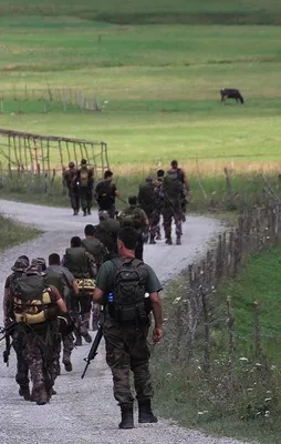 Ordu-Tokat sınırında terör operasyonu