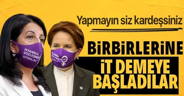 Millet İttifakı’nda Ermeni soykırımı krizi büyüyor! ’Alçak PKK’ya karşılık HDP’li vekil Yavuz  Ağıralioğlu’na ’it’ dedi