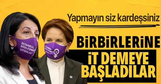 Millet İttifakı'nda Ermeni soykırımı krizi büyüyor! 'Alçak PKK'ya karşılık HDP'li vekil Yavuz Ağıralioğlu'na 'it' dedi