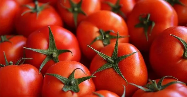 İstanbullu en çok domates tüketti Ekonomi haberleri