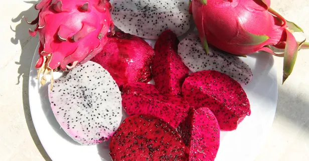 Bir dönümden 50 bin lira kazanıyor! Ejder meyvesini Mersin'den ABD askerlerine gönderiyor