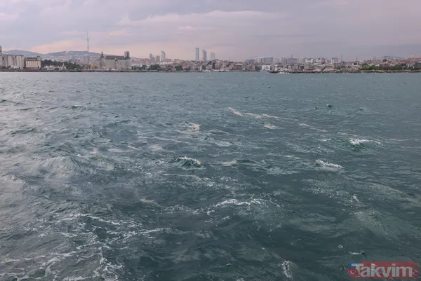 SON DAKİKA: A Haber Marmara Denizi'ndeki müsilajı (deniz salyası) araştıran ODTÜ gemisinde! 'Marmara 6-7 yılda biraz düzelebilir' - 30