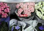 Bugün çiçekçiler açık mı, çalışıyor mu 2021? 9 Mayıs Anneler Gününde çiçekçiler kaça kadar açık olacak?