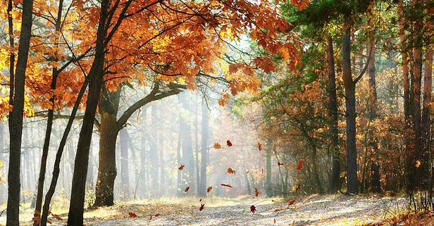 Rüyada ünlü olduğunu görmek ne anlama gelir?