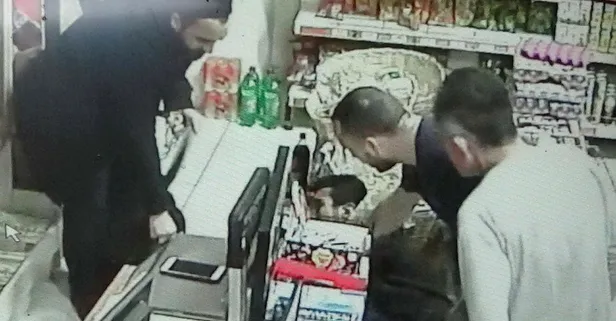 Silivri’de Pitbull dehşeti kamerada!