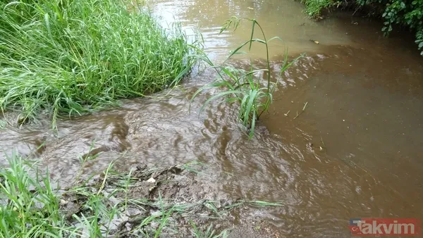 İSKİ'nin son skandalı! Kanalizasyon suları Ömerli Barajı'na akıyor - 3