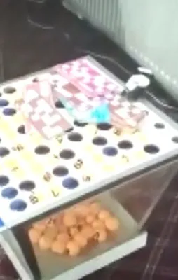 Emniyetten Türkiye genelinde kumar ve tombala oynatan işletmelere operasyon
