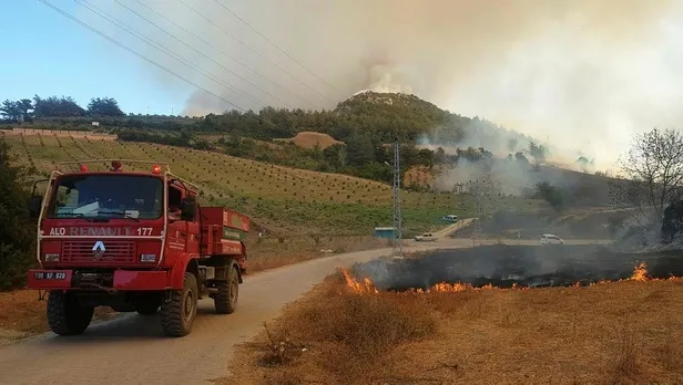Son dakika: Osmaniye'de orman yangını! Evler boşaltıldı-3