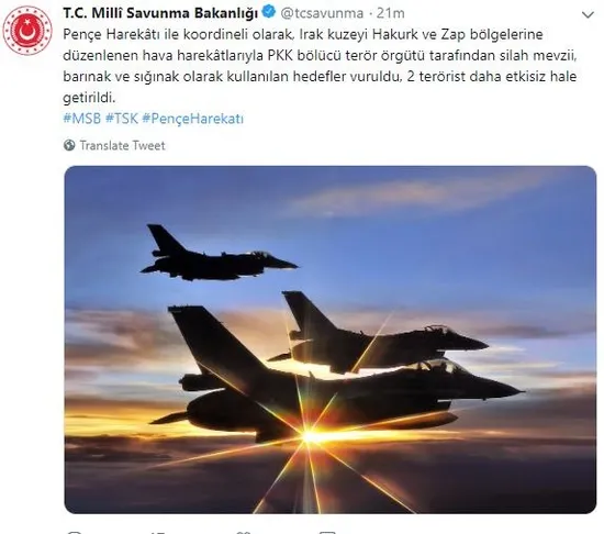 Son dakika haberi: PKK'ya 'Pençe' darbesi! 2 terörist daha etkisiz hale getirildi-1