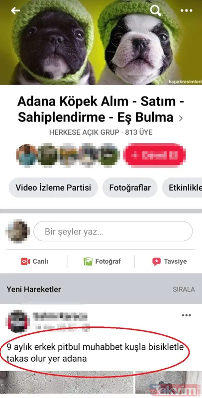 Satışı yasak olan hayvanları internetten satıyorlar - 5