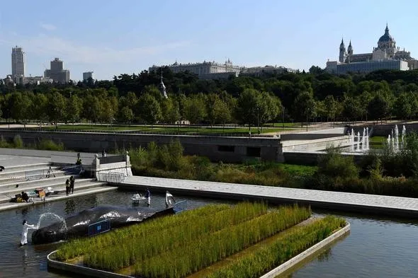 Madrid'de nehir kıyısında İspermeçet balinası görenleri şaşırttı - 10