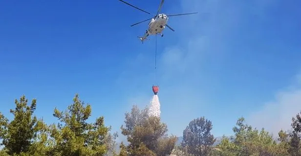 Hatay Amanos Dağları’nda yangın