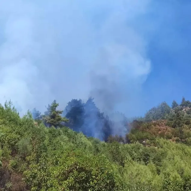 Adana’da orman yangını