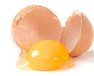 Bitkilere yumurtalı su