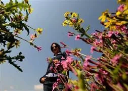 Hava sıcaklıkları artıyor!