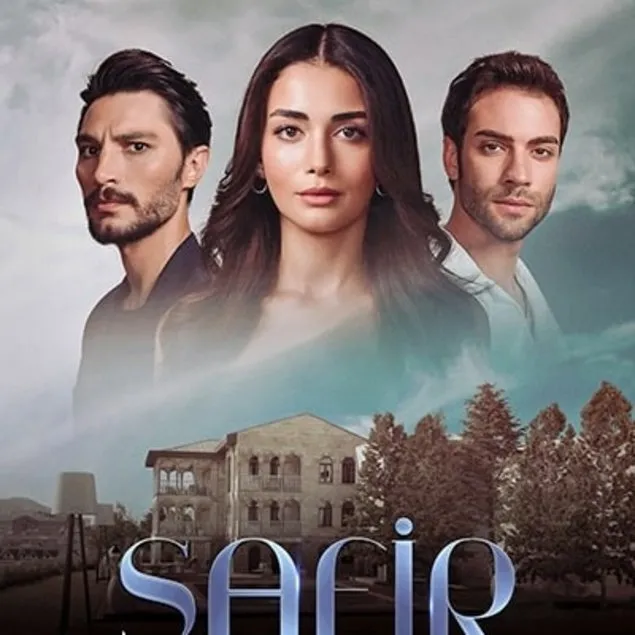 Bir dizi başarı