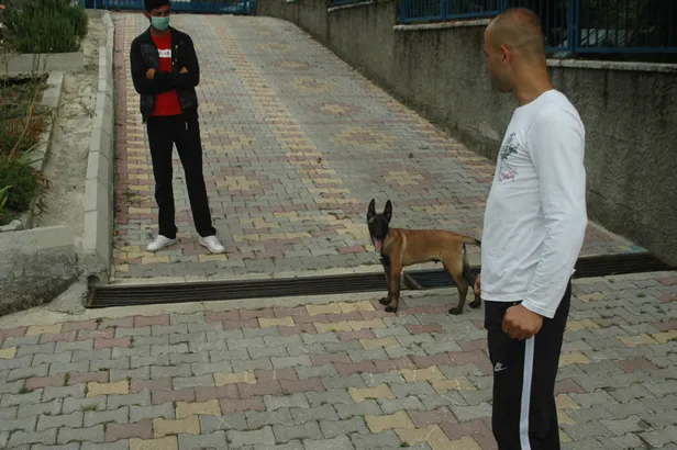 Polis, çalınan köpeği 160 kilometre iz sürerek buldu-1