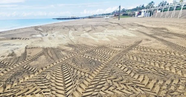 Caretta yuvaları ezildi: ’Kaybolabilirlerdi’