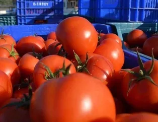 Fiyat artışında pardösü birinci