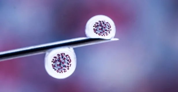 Mutasyon ne demek? Koronavirüs mutasyona mı uğradı? Mutasyon ve varyant nedir?