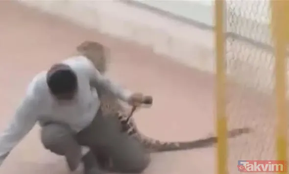 Sadece fotoğraf çektirmek istedi genç kız hayatının şokunu yaşadı! Bir anda üzerine atladı ne var yok... - 8