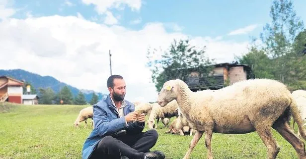 Kaymakam olmayı hayal ederken çoban oldu