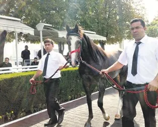 Ateş parçası
