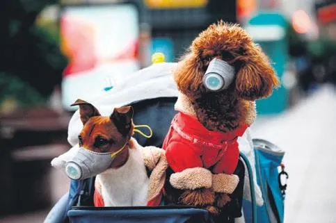 Coronavirüs İran’ı vurdu! Bilim insanlarının hazırladığı rapor korkuttu: 3 milyon kişi ölebilir-12