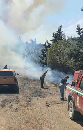 İzmir'de orman yangını
