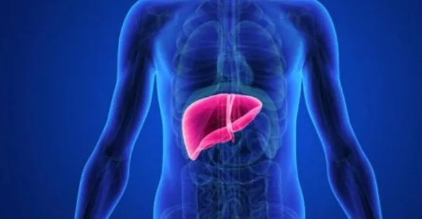 Karaciğer yağlanması sessiz ilerliyor! Uzmanından önemli açıklamalar