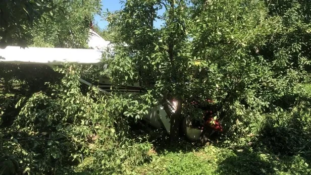 Bursa'da Cesna 172 tipi eğitim uçağı meyve bahçesine mecburi iniş yaptı! Uçak kazasının nedeni ortaya çıktı-5