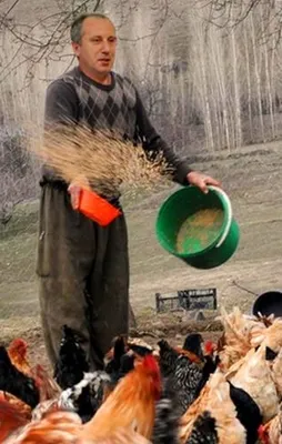 Muharrem İnce kukla aday mı?